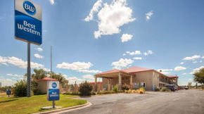 Гостиница Best Western Snyder Inn  Снайдер